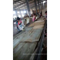 plywood 18mm marine/plywood 21mm for formwork